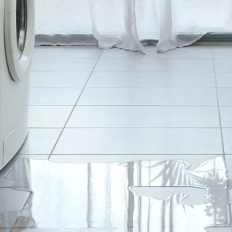 Appliance Leak Cleanup in Barnwell County, SC