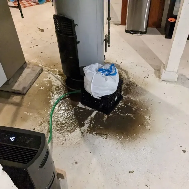 Sewage Backup Cleanup Service in Barnwell County, SC